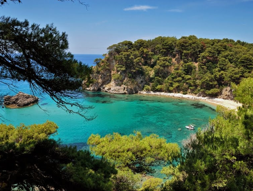 Βαλανιδοράχη
